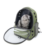 Large Capacity & Spine-Friendly Pet Carrier