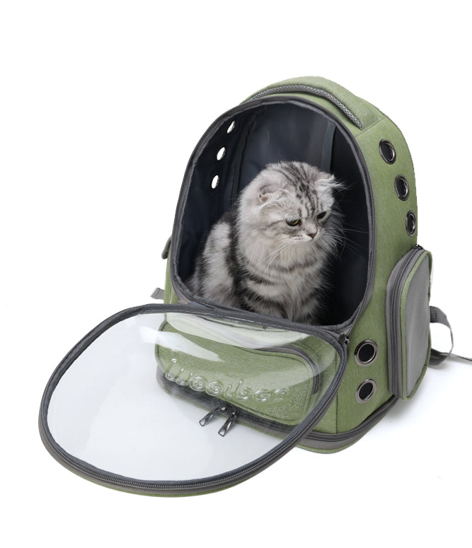 Large Capacity & Spine-Friendly Pet Carrier