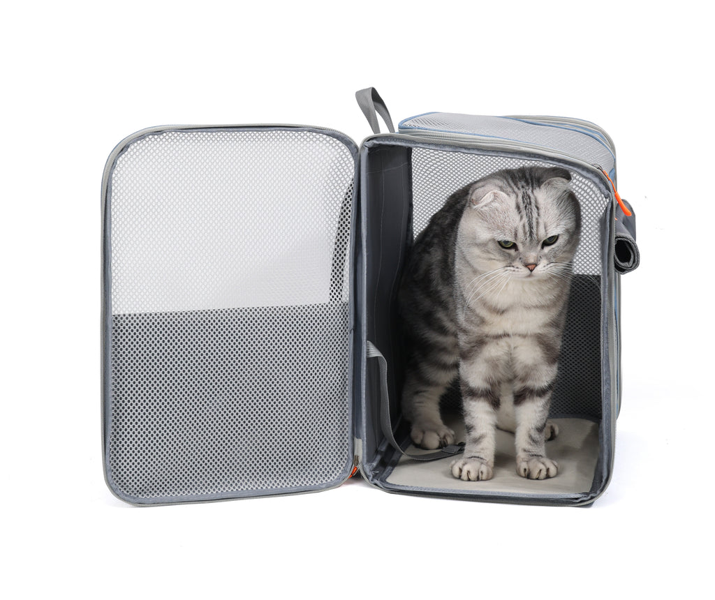 UrbanPaws Versatile Pet Backpack – Roll-Top & Luggage-Ready