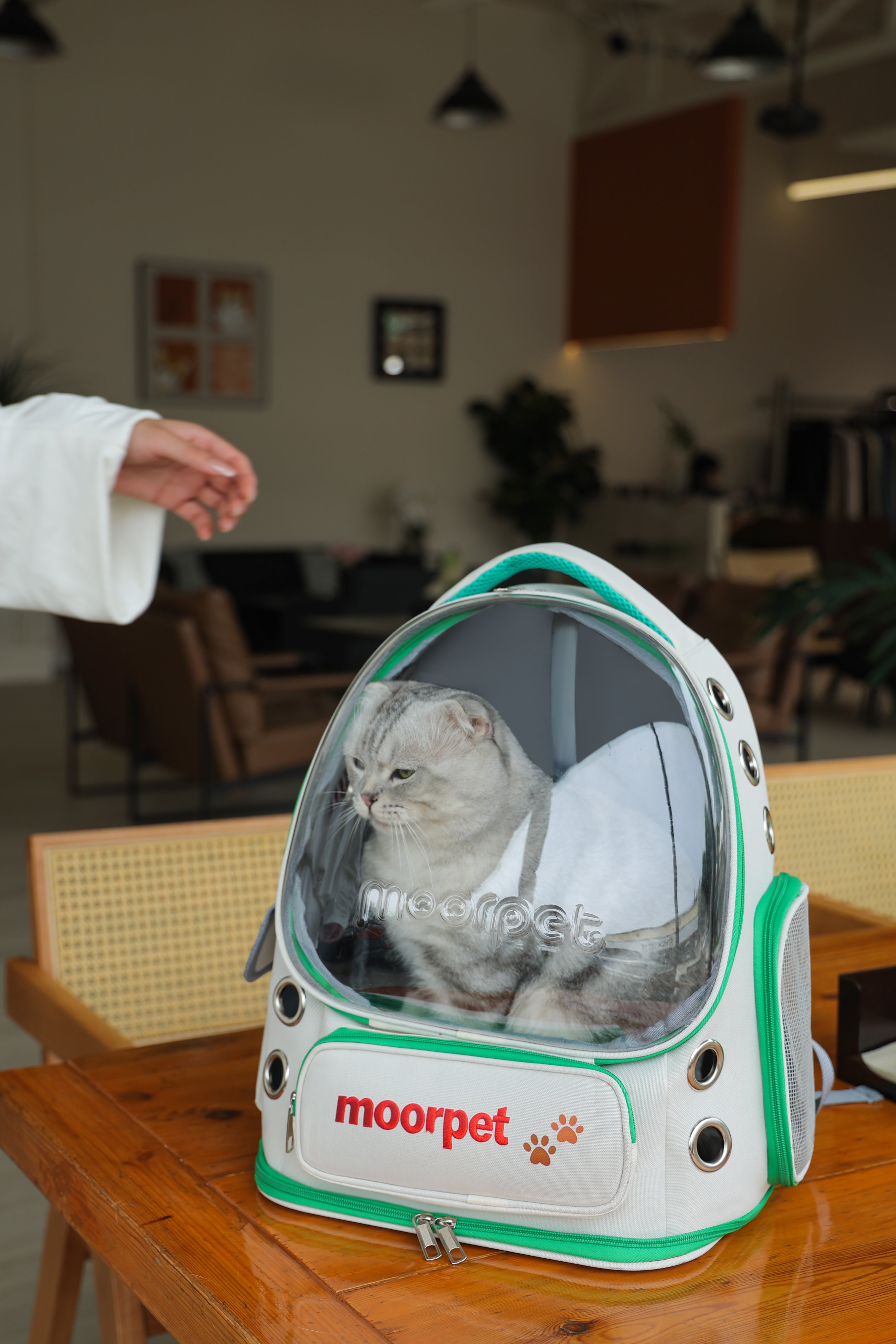 Astronaut bag-Vista Go Foldable Pet Backpack – Spacious, Breathable & All-Season