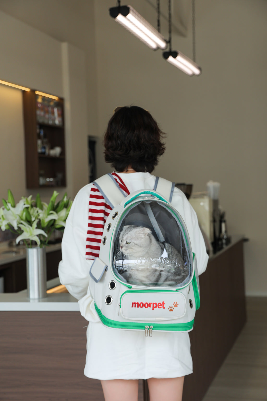 Astronaut bag-Vista Go Foldable Pet Backpack – Spacious, Breathable & All-Season