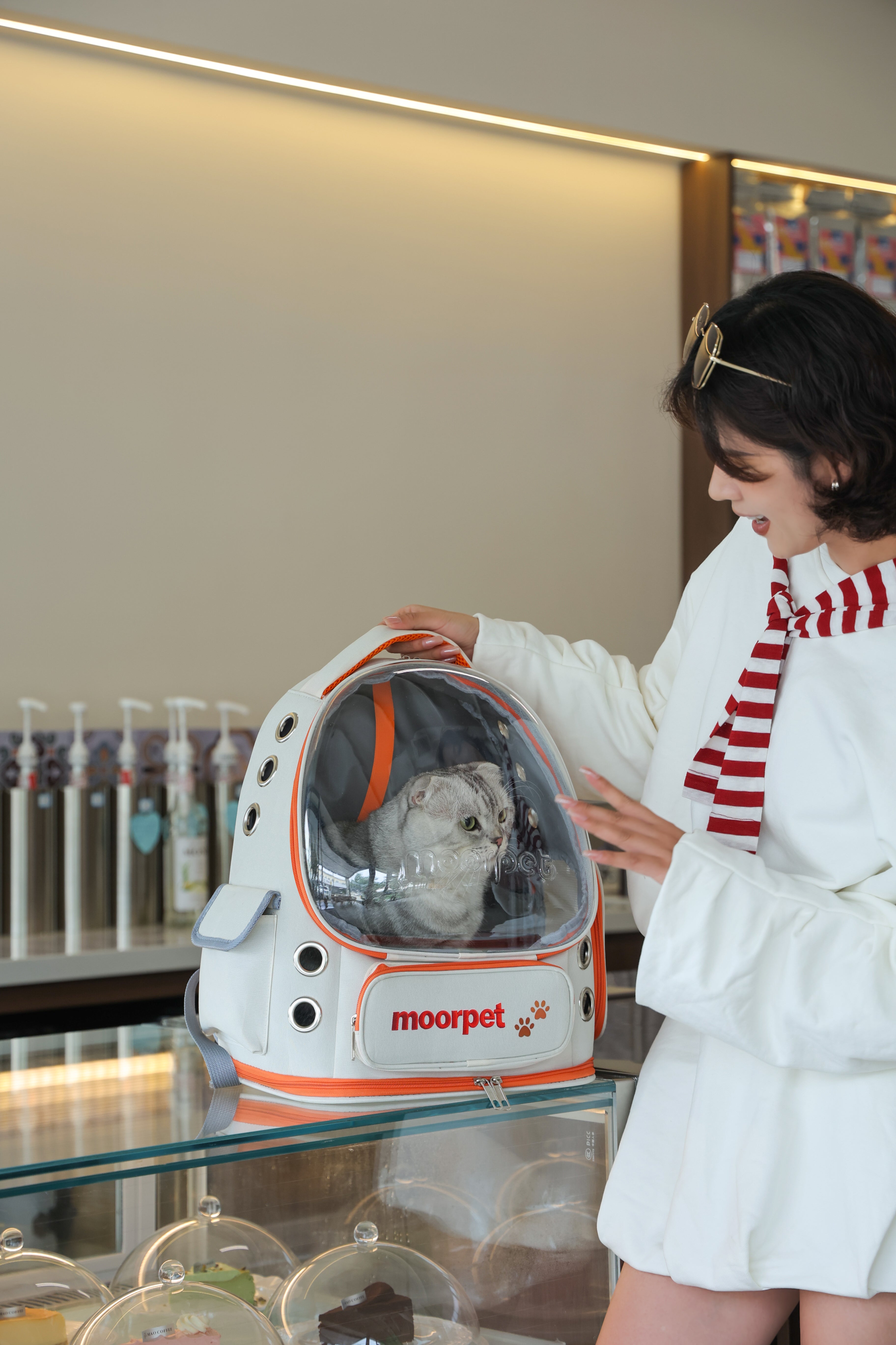 Astronaut bag-Vista Go Foldable Pet Backpack – Spacious, Breathable & All-Season