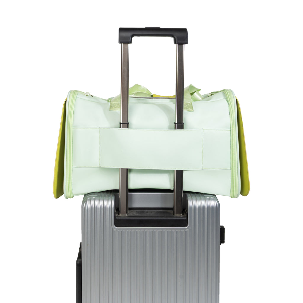 AirFlow MagSeal Pet Carrier – Breezy, Easy-Access & Calming