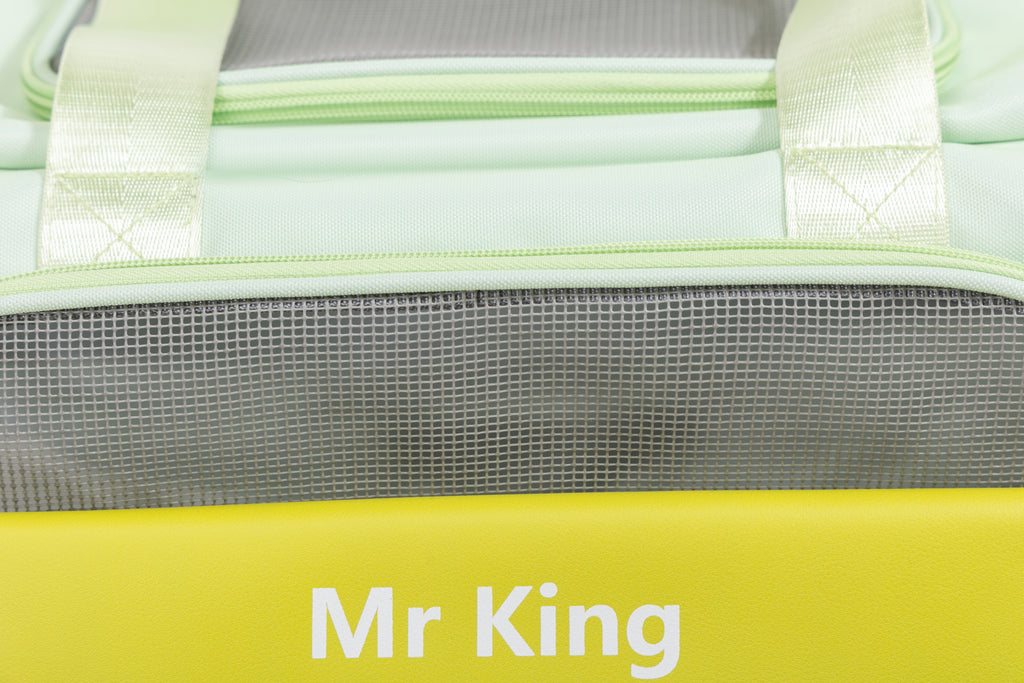 AirFlow MagSeal Pet Carrier – Breezy, Easy-Access & Calming