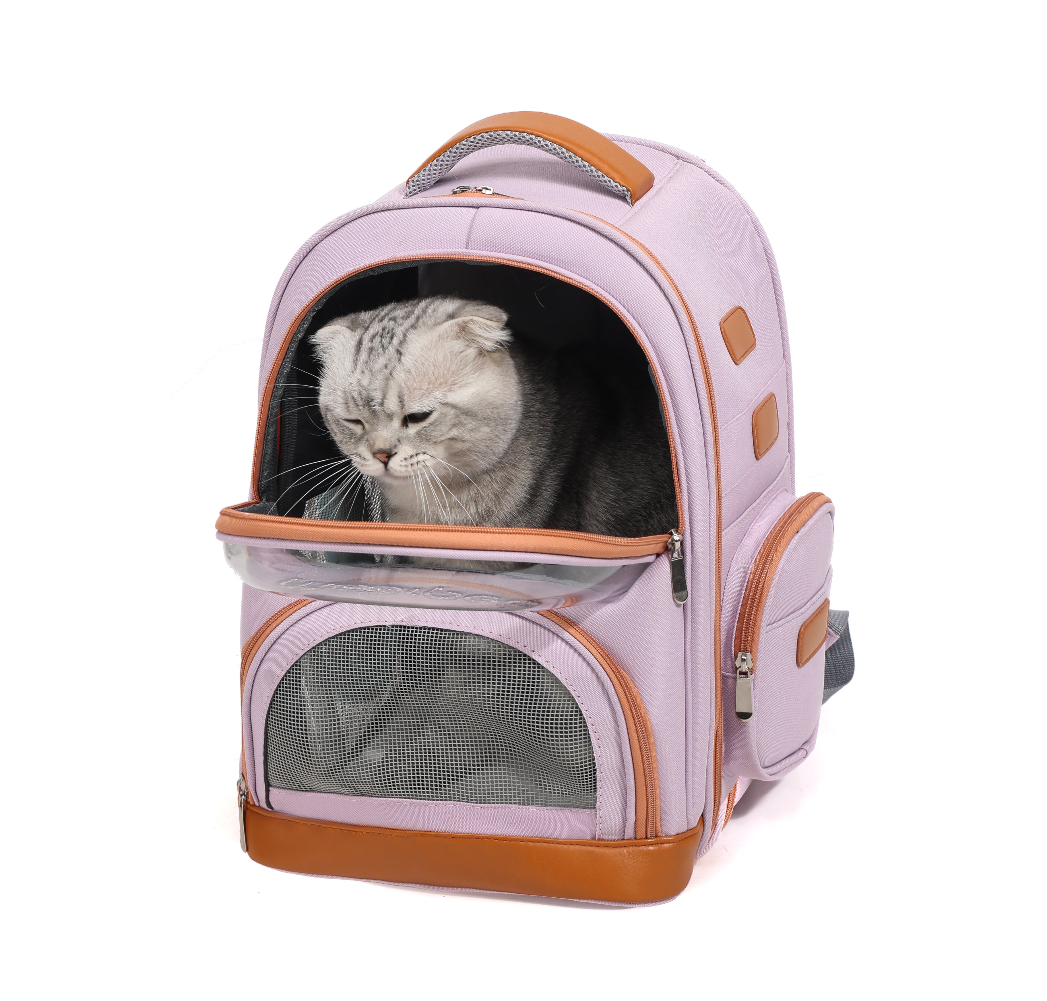 Bi-Window - Multi-Access Pet Backpack – Breathe, Roam & Connect