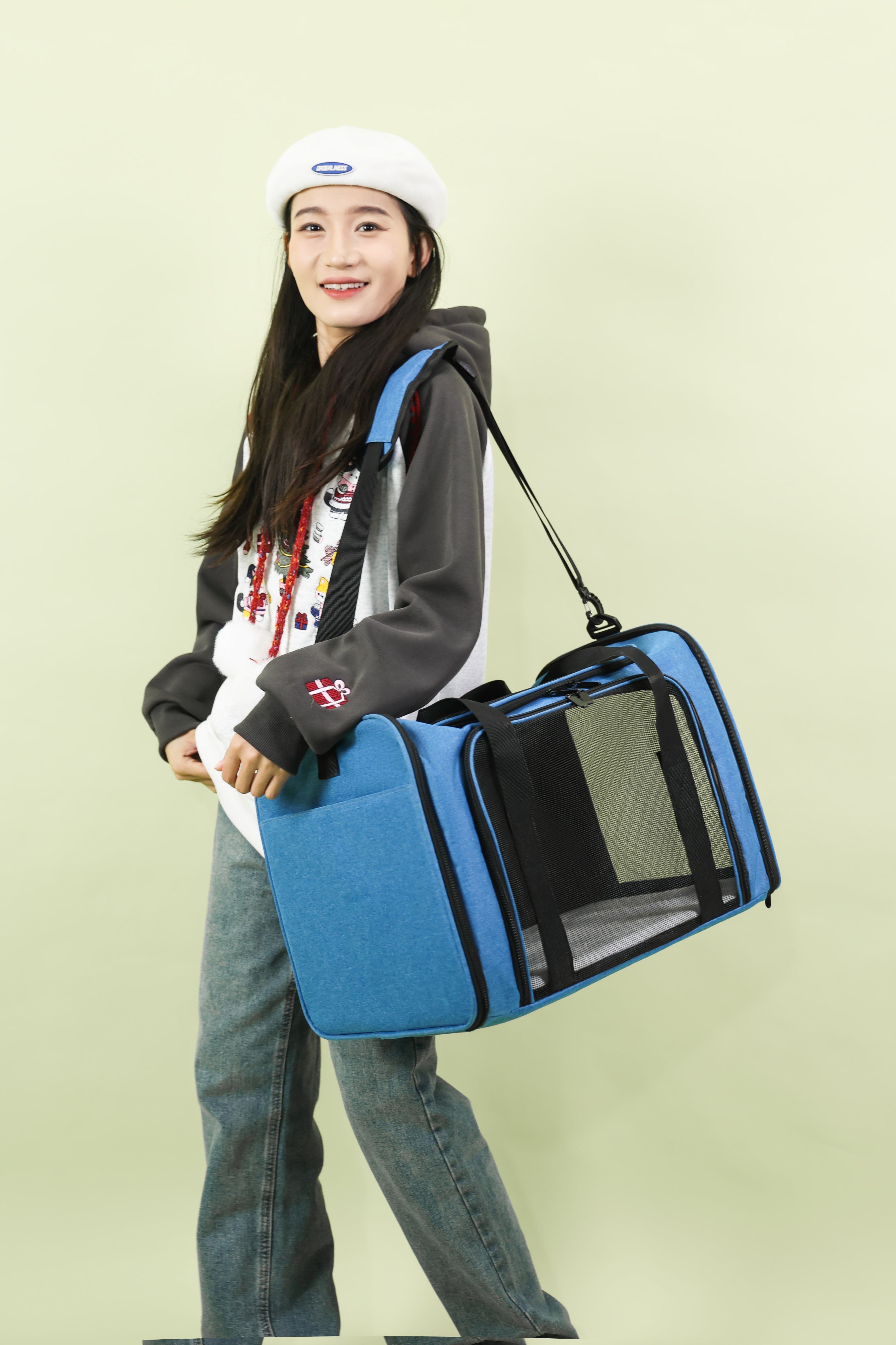 VersaVent 3-in-1 Pet Carrier – Foldable & Luggage-Friendly