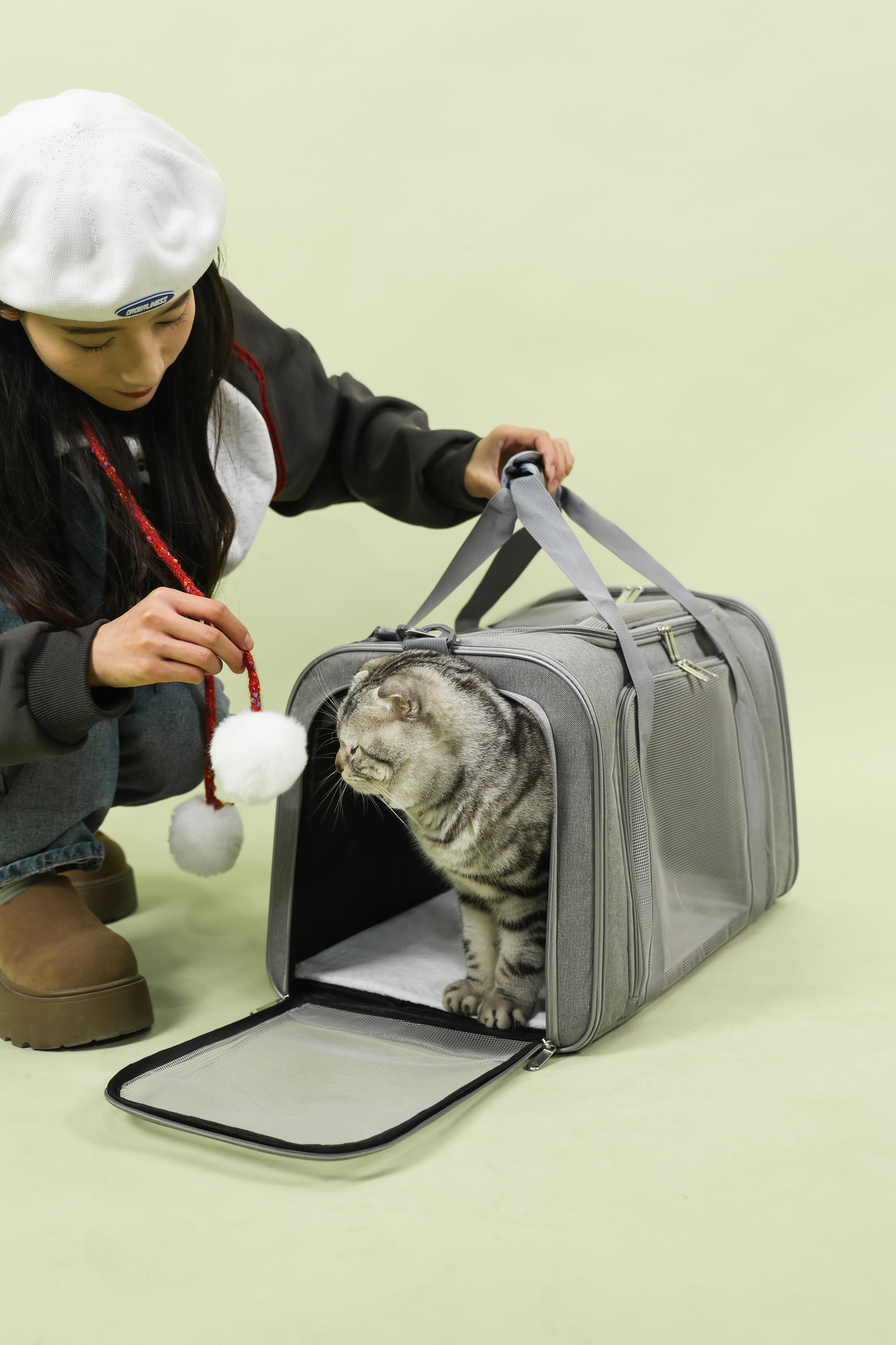 VersaVent 3-in-1 Pet Carrier – Foldable & Luggage-Friendly