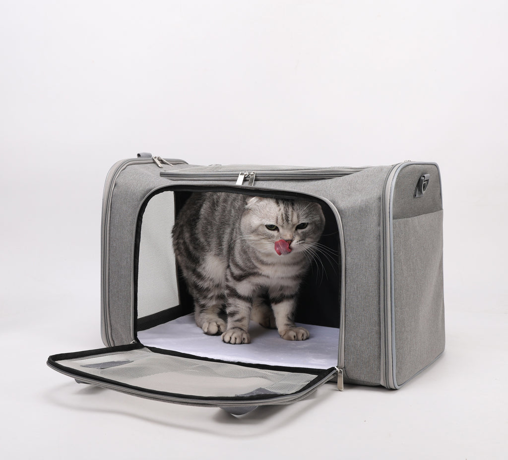 VersaVent 3-in-1 Pet Carrier – Foldable & Luggage-Friendly