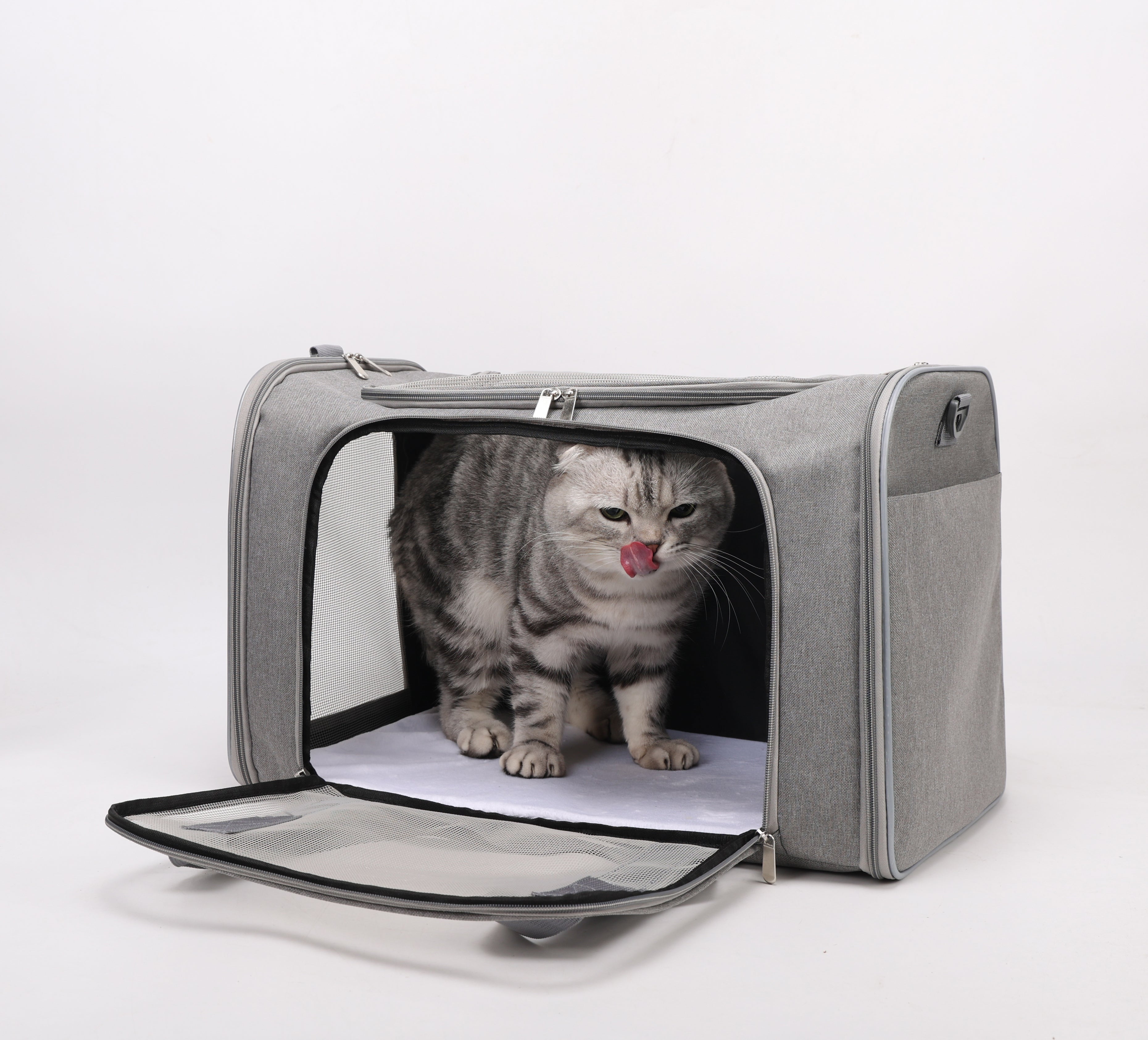 VersaVent 3-in-1 Pet Carrier – Foldable & Luggage-Friendly