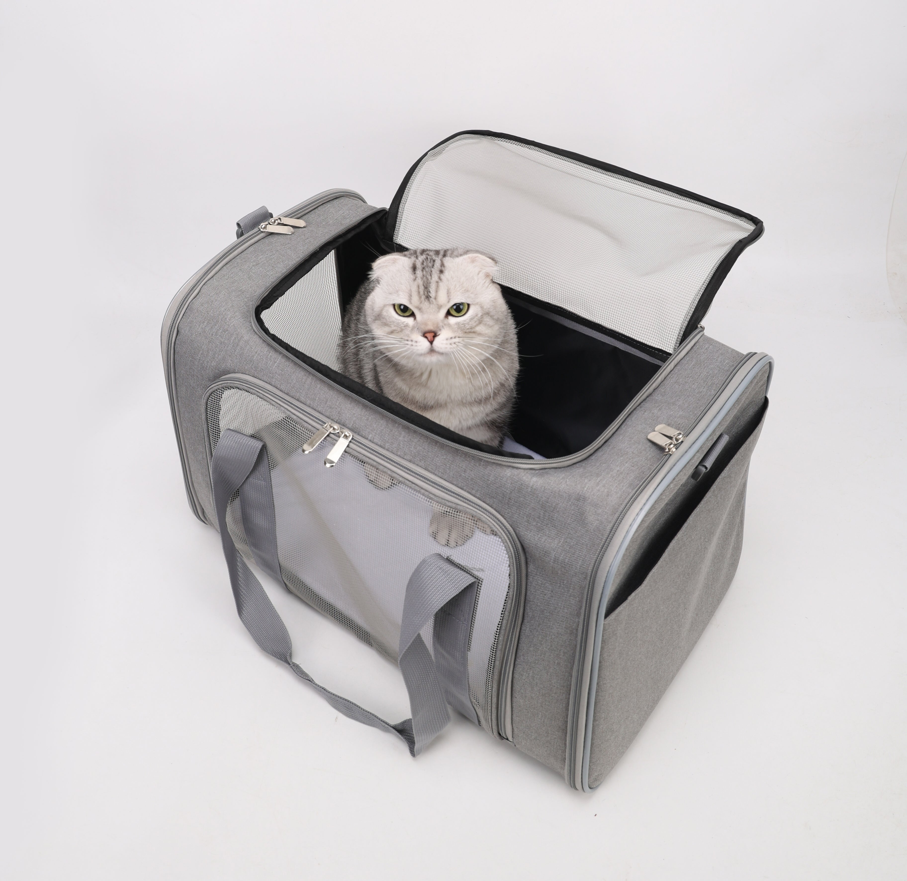 VersaVent 3-in-1 Pet Carrier – Foldable & Luggage-Friendly