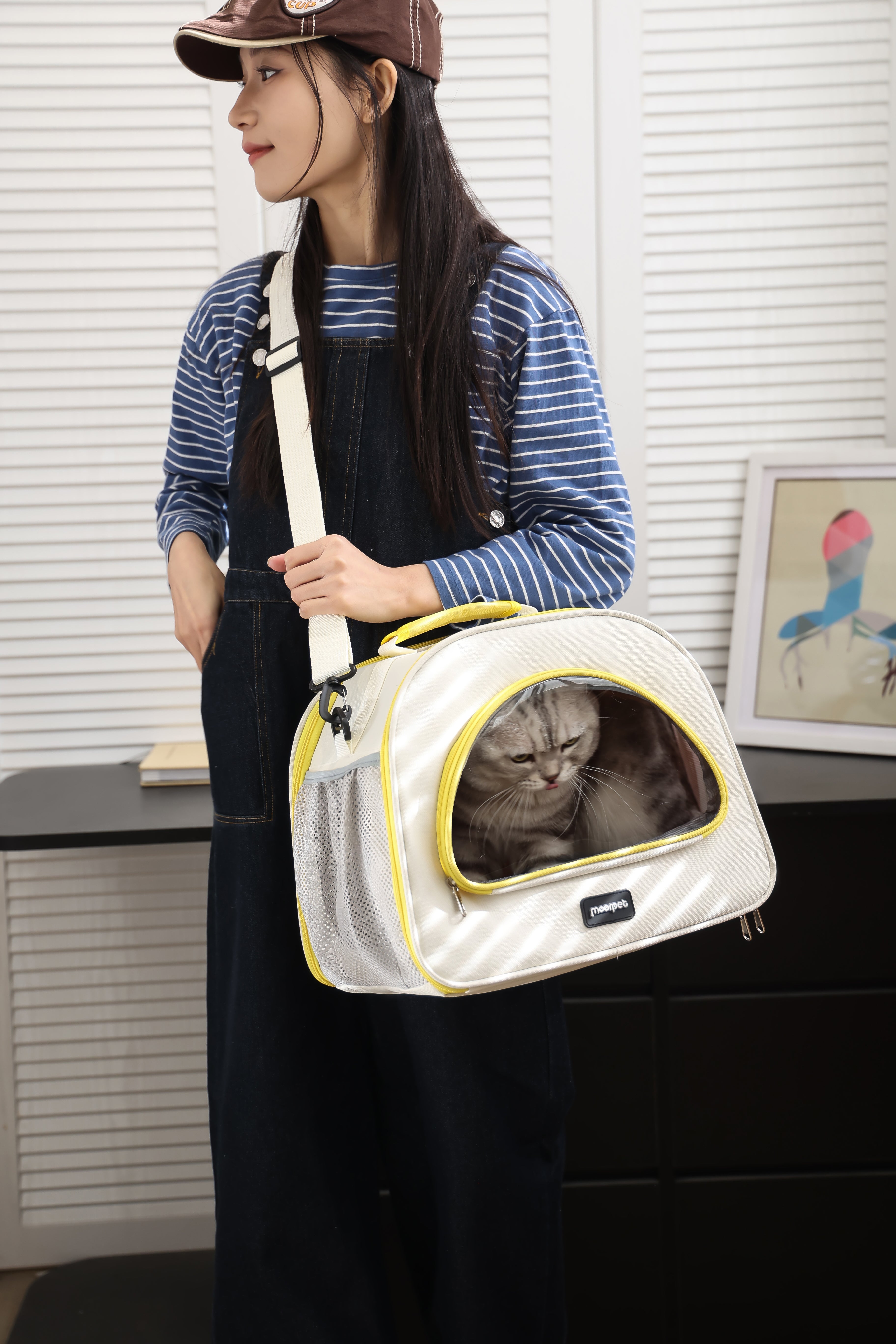 FeatherLite Multi-Access Pet Carrier – Breathable & Roomy