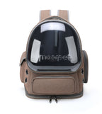 Large Capacity & Spine-Friendly Pet Carrier