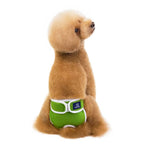 Pet Sanitary Pants – Striped Design (Unisex for Male / Female Dogs)