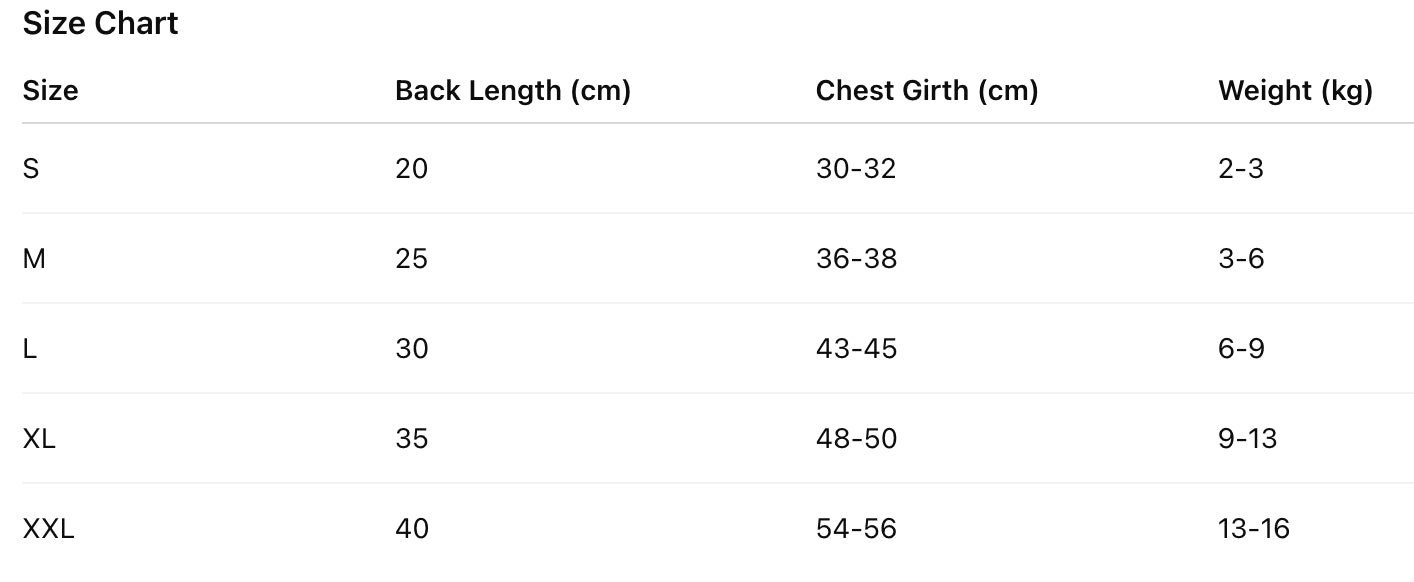 Classic Minimalist Windbreaker