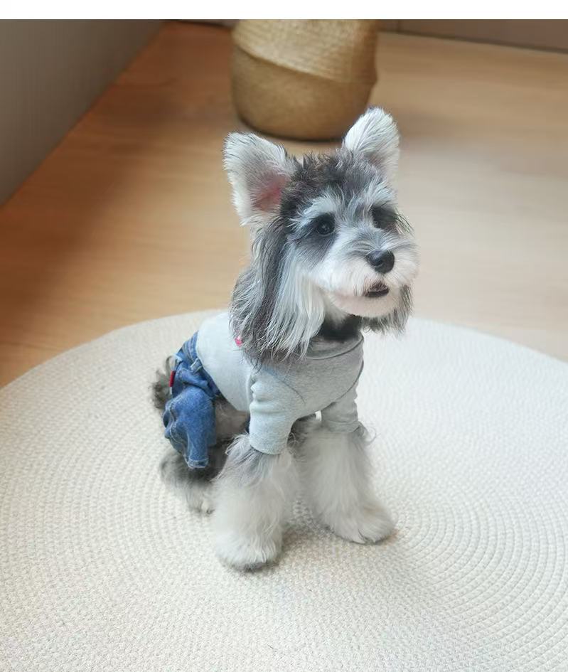 PupUrban Stylish Dog Outfit Set (with sleeves)