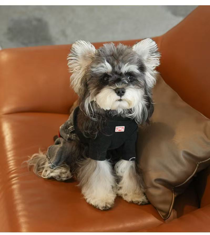 PupUrban Stylish Dog Outfit Set (with sleeves)