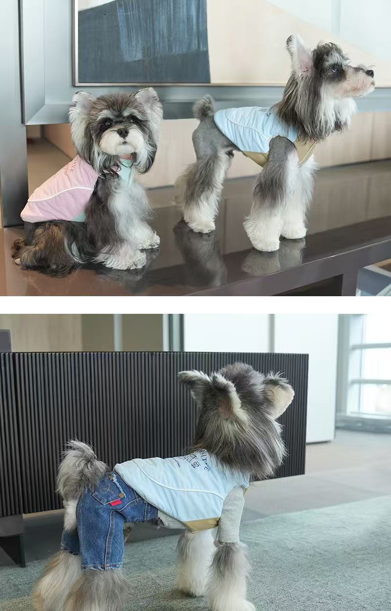 PawsitiveVibe Dog Vest