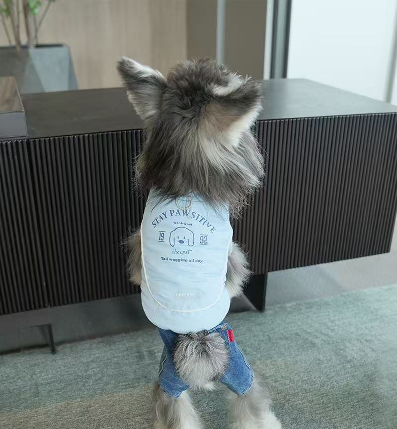 PawsitiveVibe Dog Vest