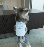 PawsitiveVibe Dog Vest