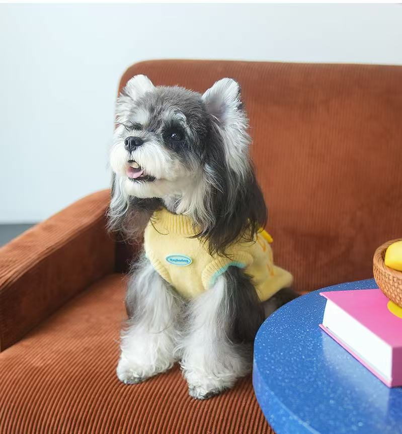 BananaBuzz Dog Sweater