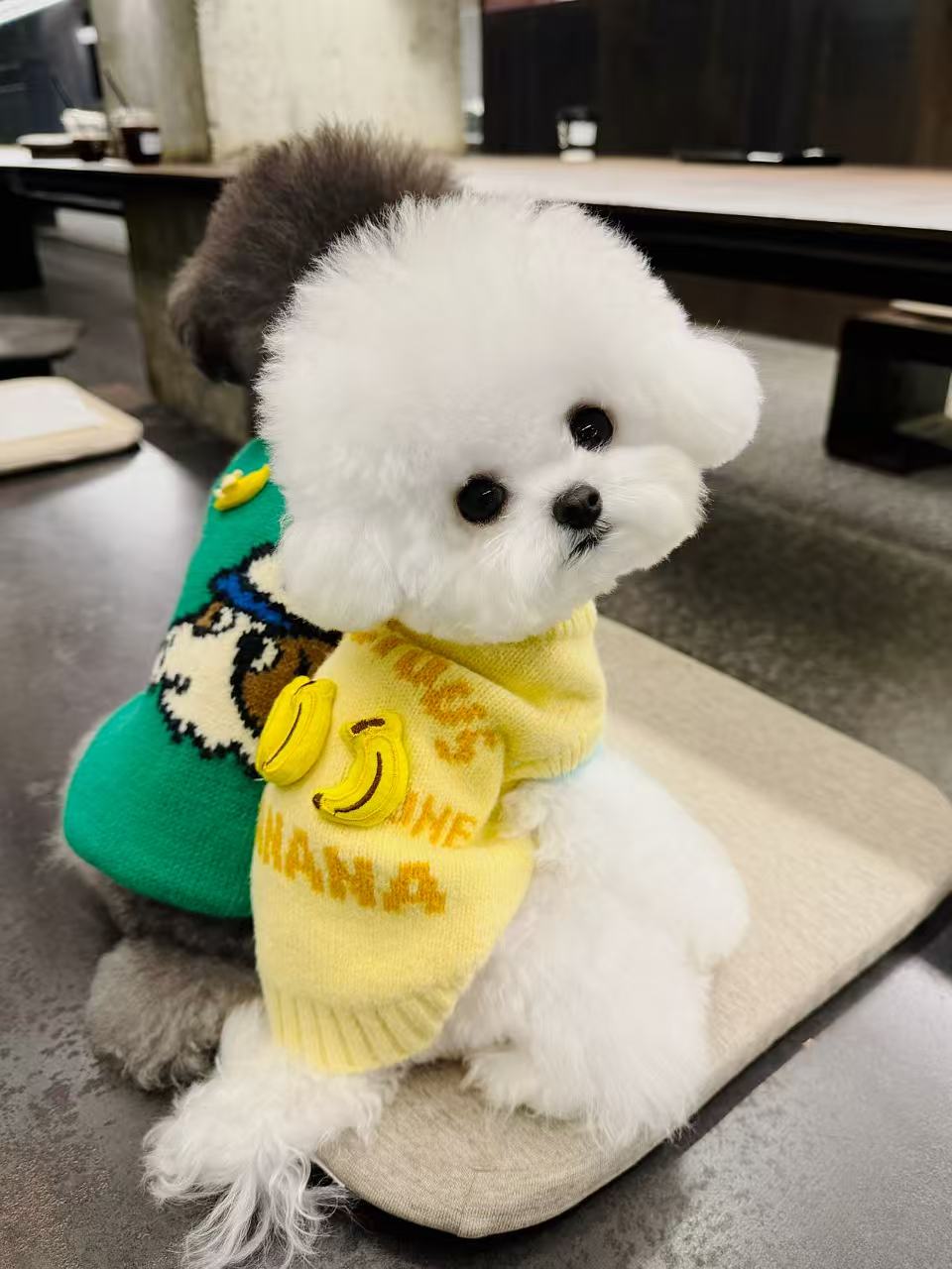 BananaBuzz Dog Sweater