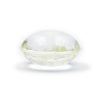 Natural Flea & Tick Repellent for Dogs & Cats