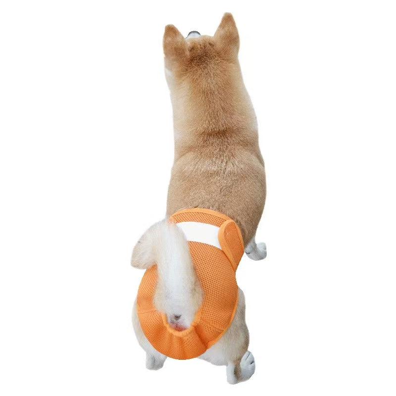 Pet Sanitary Pants – Striped Design (Unisex for Male / Female Dogs)