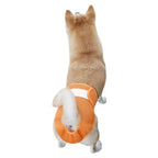 Pet Sanitary Pants – Striped Design (Unisex for Male / Female Dogs)