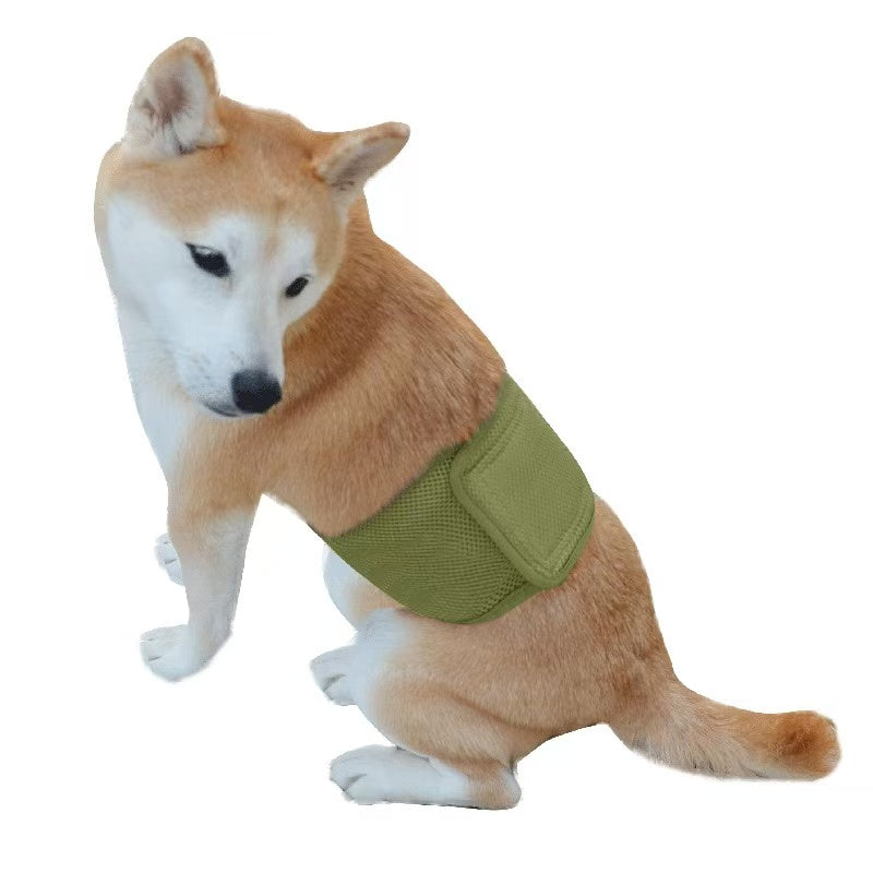 Pet Sanitary Pants – Striped Design (Unisex for Male / Female Dogs)