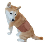 Pet Sanitary Pants – Striped Design (Unisex for Male / Female Dogs)