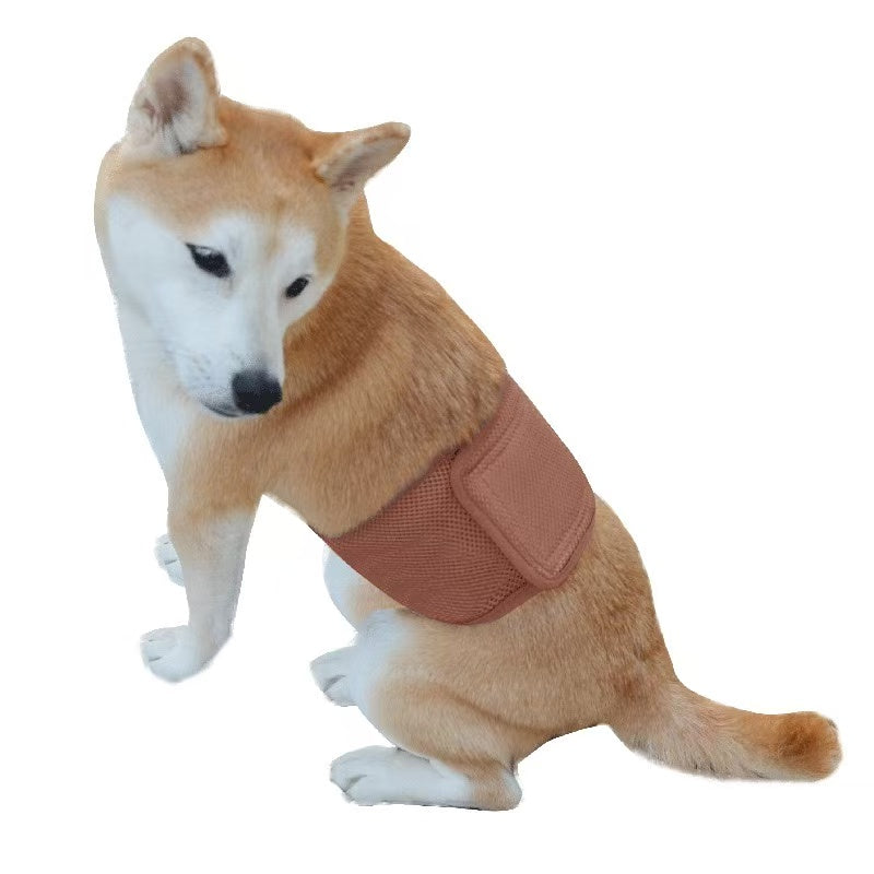 Pet Sanitary Pants – Striped Design (Unisex for Male / Female Dogs)