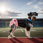 Pet Sanitary Pants – Striped Design (Unisex for Male / Female Dogs)