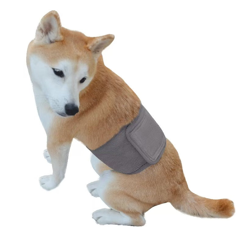 Pet Sanitary Pants – Striped Design (Unisex for Male / Female Dogs)