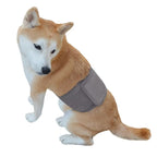 Pet Sanitary Pants – Striped Design (Unisex for Male / Female Dogs)