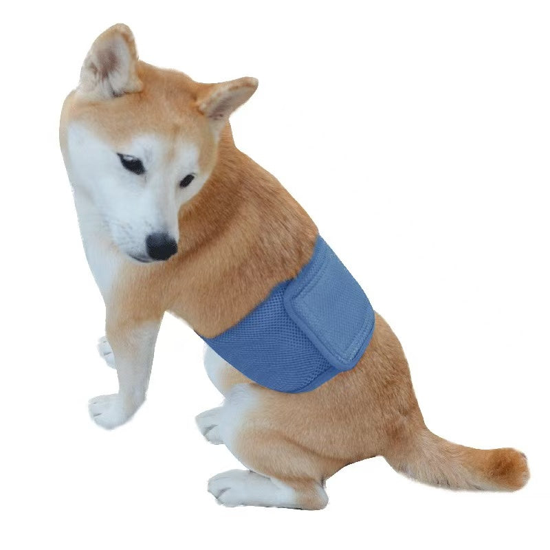 Pet Sanitary Pants – Striped Design (Unisex for Male / Female Dogs)