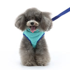 Cozy Adventure Dog Puffer Vest