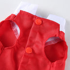 Santa Claus Dog Outfit with Hat