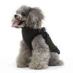 Camo Harness Dog Softshell Vest