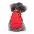 Bear Patch 2‑Piece Dog Outfit (Vest + Striped Turtleneck)