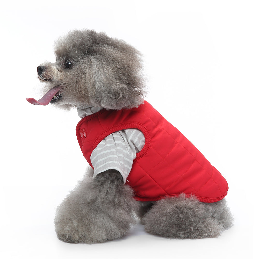 Bear Patch 2‑Piece Dog Outfit (Vest + Striped Turtleneck)
