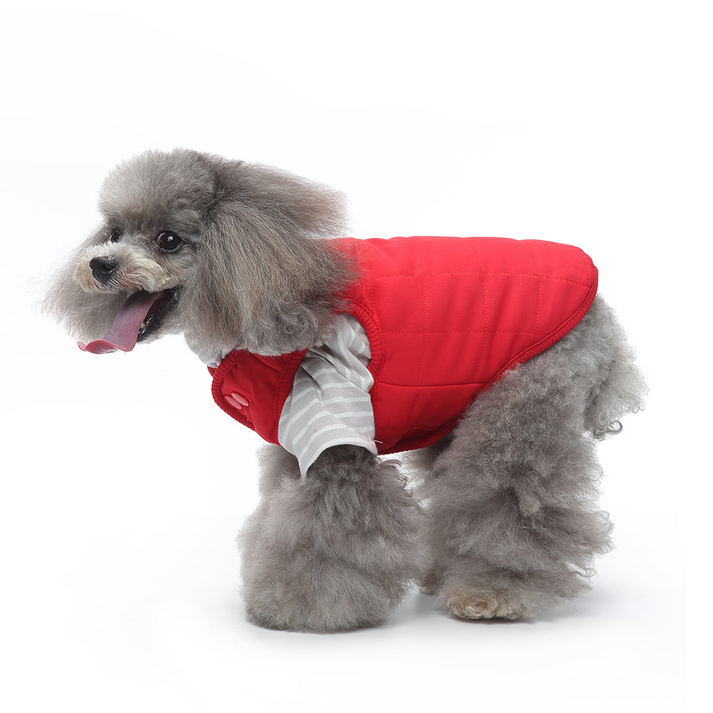 Bear Patch 2‑Piece Dog Outfit (Vest + Striped Turtleneck)