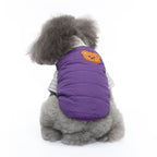 Bear Patch 2‑Piece Dog Outfit (Vest + Striped Turtleneck)