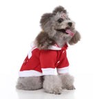 Polka Dot Green Dog Dress with Christmas Tree Design