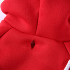 Polka Dot Green Dog Dress with Christmas Tree Design