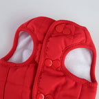 Bear Patch 2‑Piece Dog Outfit (Vest + Striped Turtleneck)