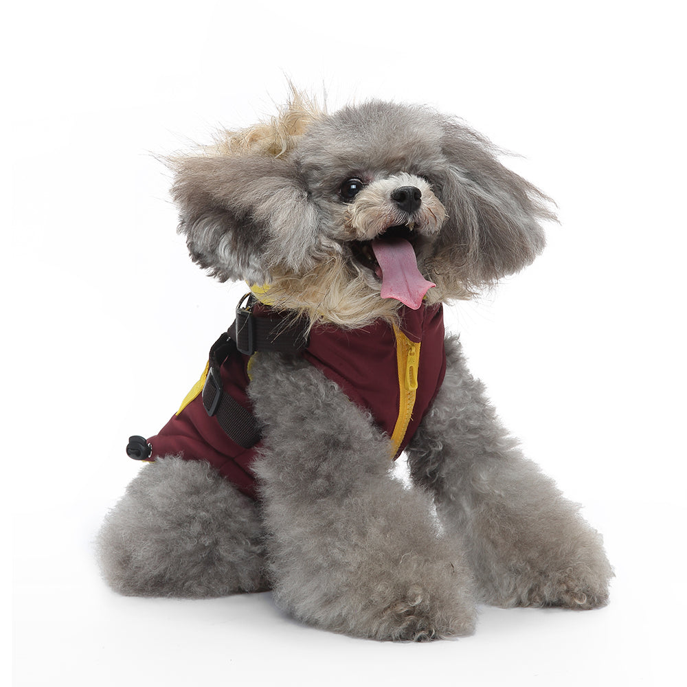 Peture Winter Dual-Color Dog Harness Jacket with Hood (Available in Wine-Yellow / Red-Blue)