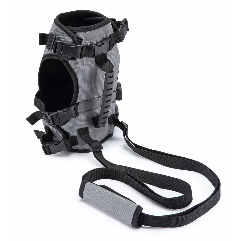 Multi-Function Pet Harness & Carry Strap – Black / Green / Grey