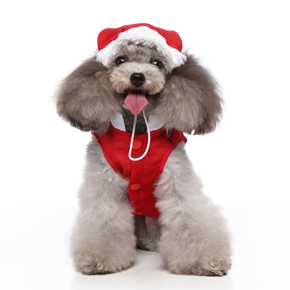 Santa Claus Dog Outfit with Hat