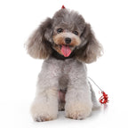 Cartoon Acme Dynamite Dog Costume – Fun Red Dynamite Outfit with Fuzzy Fuse