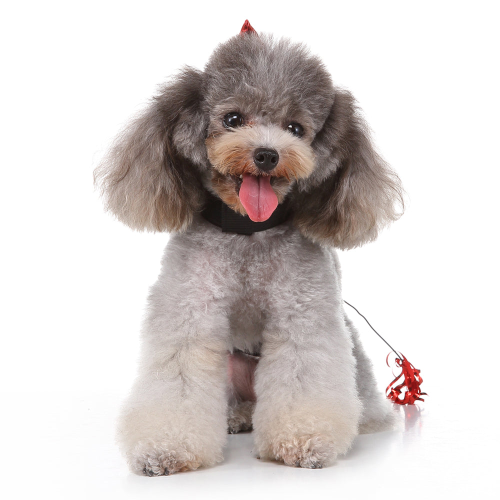 Cartoon Acme Dynamite Dog Costume – Fun Red Dynamite Outfit with Fuzzy Fuse